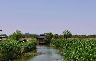 下渚湖：浙江的天然湿地美景，让你流连忘返