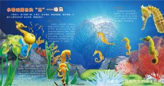 探秘海洋生物之光：绚丽海光的奥秘与启示