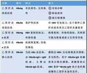 乙型肝炎表面抗原阳性：含义、检查与注意事项