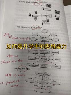 相反数教案：深入解析概念与求法，培养数学思维能力