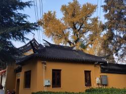 颐浩禅寺：历经千年沧桑，感受古寺文化沉淀与金泽古镇风情