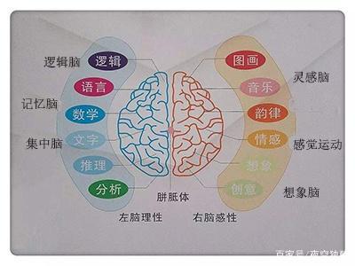 记忆力不好怎么办？五大方法助你提高记忆力！