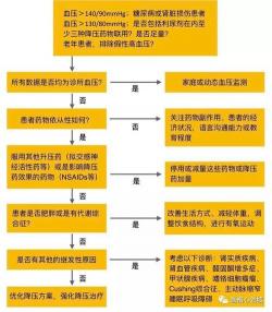 高血压放血疗法解析：原理、适用人群与操作指南