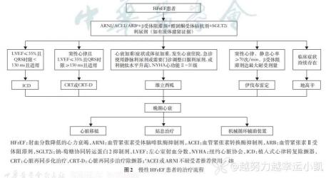 左心室肥厚：治疗与护理全面解析