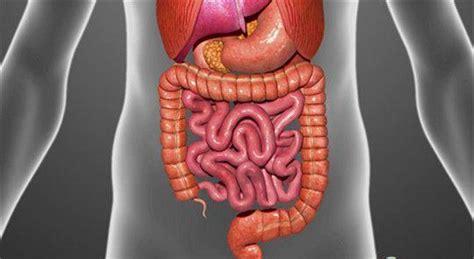 慢性肠炎症状详解：腹痛、腹泻、里急后重等七大症状