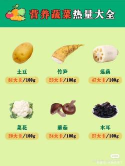 Vegetable可数吗？了解蔬菜在饮食中的重要作用