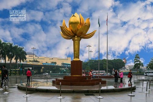 金莲花广场：澳门回归的标志与旅游胜地