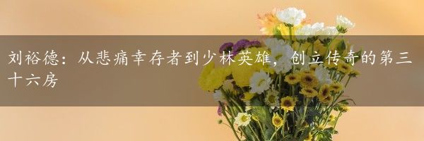 刘裕德：从悲痛幸存者到少林英雄，创立传奇的第三十六房