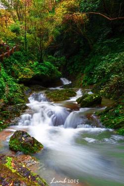 古东瀑布旅游：逆流而上赏瀑布，森林氧吧乐无边