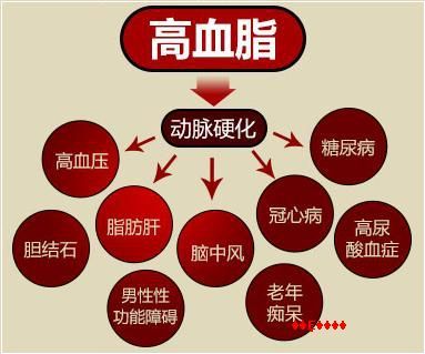 高血脂怎么治疗：综合多种方法控制血脂水平