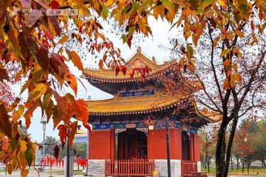 金山寺门票：探索历史文化与自然美景的绝佳之地