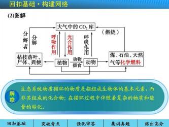 解析生态环境问题的三大特征：能量流动、物质循环与信息传递