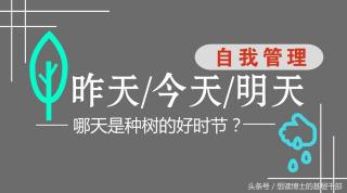 从内心到行动：一棵树与自我成长的启示