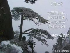 五言诗的韵味与情感 - 深藏不露的诗意之美