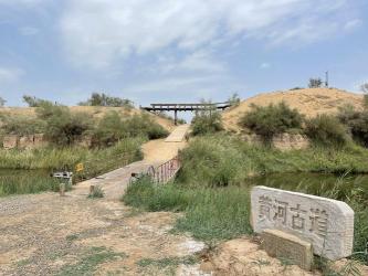 西夏古韵，今日乐园——银川黄沙古渡的全新体验