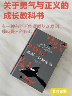 想飞的钢琴少年维达斯：天赋、勇气与成长的故事