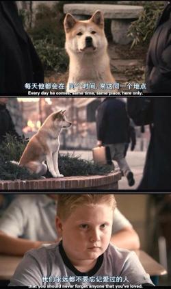 忠犬八公物语：秋田犬阿八的忠诚与等待