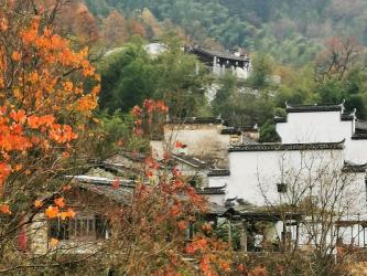 塔川秋色正当时，徽派小村的五彩斑斓之旅