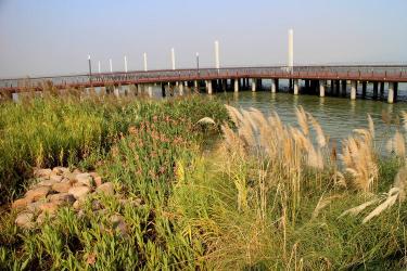 吴江东太湖生态园：宜人的四季风景与多样的游玩活动