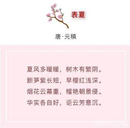 樱花之诗：形容樱花的美丽与哀愁