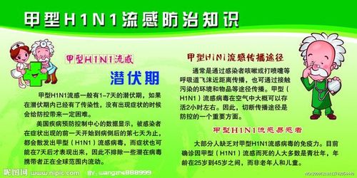 甲型H1N1流感：预防、症状、诊断与治疗方法