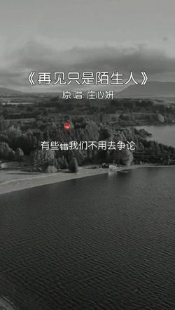 再见只是陌生人：人生的相遇与分离