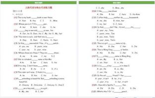 pron的意思和用法：英语代词的解析与示例