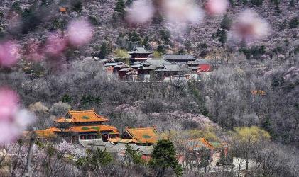 方山国家森林公园：山西的自然与文化宝库