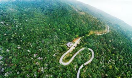 大雾岭自然保护区：粤西最高峰的云雾秘境