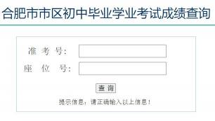 益阳中考成绩查询：入口、步骤及注意事项全解析