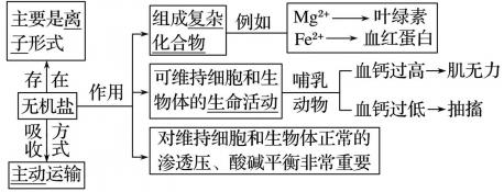 无机物定义解析：不含碳的化合物及其特殊含碳类别